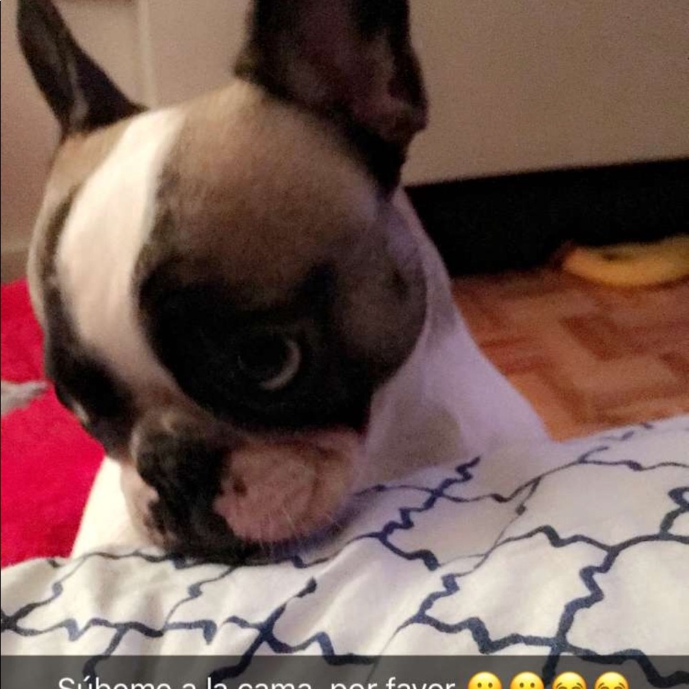 Meet your Posher, Alfonsina